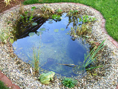 galabau mergel altlussheim teichbau