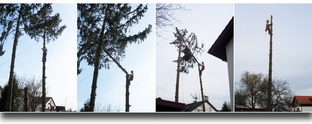 galabau mergel baumfaell arbeiten